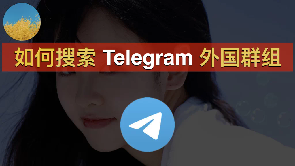 Telegram中文版全新隐私政策：用户数据使用规范详解